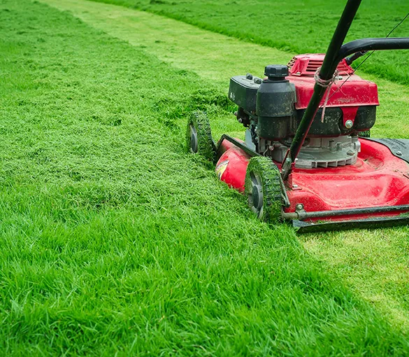 Close-up of a professional lawn mower cutting grass, showcasing affordable lawn mowing services in Wilton Manors, FL.