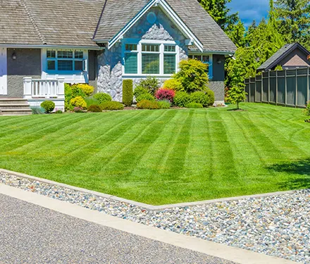Beautifully manicured lawn in front of a well-maintained home, showcasing the results of professional lawn care services that guarantee a greener, more beautiful yard.
