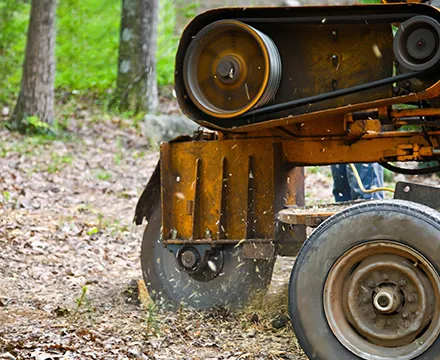 Close-up of a tree stump grinder, emphasizing the efficiency and effectiveness of professional stump grinding services.
