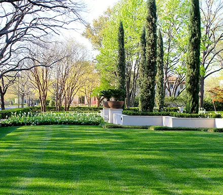 Lush green lawn surrounded by healthy trees and a small table, illustrating the benefits of exceptional commercial landscaping in Plantation, FL.