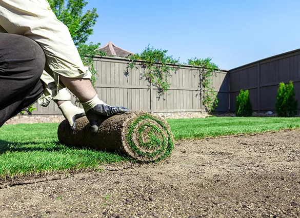 Close-up of hands applying soil to a lawn while preparing to install sod, illustrating care in landscape management.