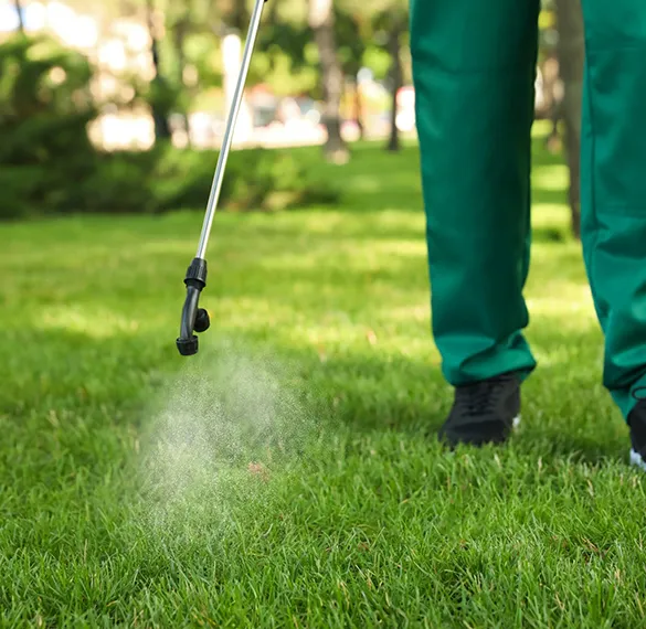 Landscape professional applying liquid fertilizer to grass, highlighting expert lawn care services for healthy and vibrant lawns in Davie, FL.