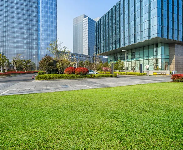 Modern commercial landscape design featuring manicured grass and buildings in Davie, FL, showcasing high-quality landscaping.