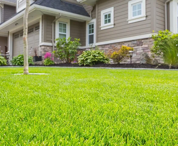 Beautifully maintained residential lawn in front of a house, highlighting trusted lawn care services provided in Fort Lauderdale, FL.
