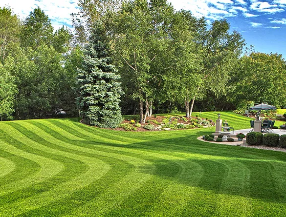 Expansive, lush green lawn with well-kept shrubs and plants, emphasizing weekly and monthly lawn care services in Sunrise, FL.