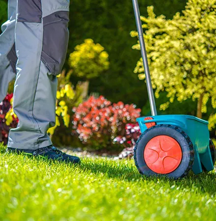 Close-up of gardening tools, including a lawn mower and rake, indicating quality lawn maintenance solutions.